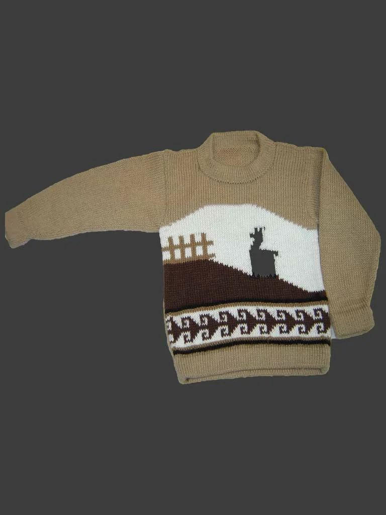 Fine Alpaca Children Sweater D07