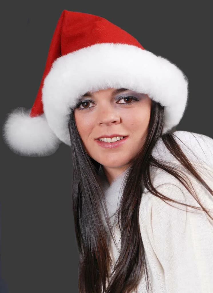 Baby Alpaca Christmas Hat D11