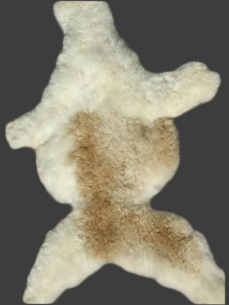 Young Alpaca Tanned Hide D09