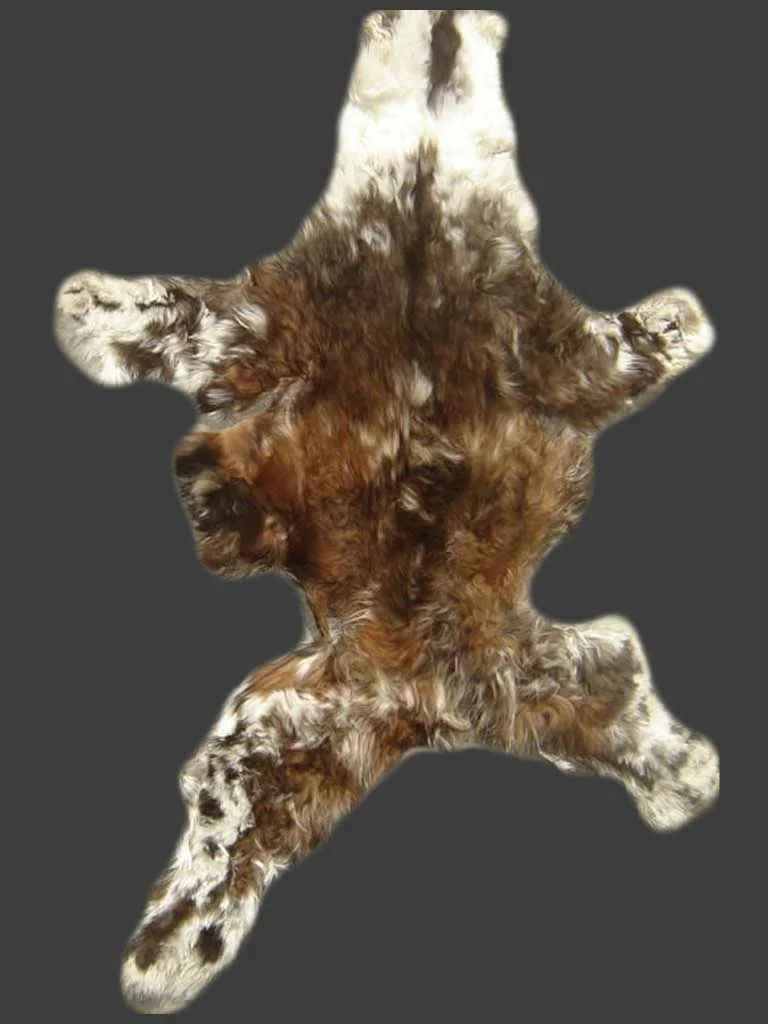 Baby  Llama Tanned Hide D11