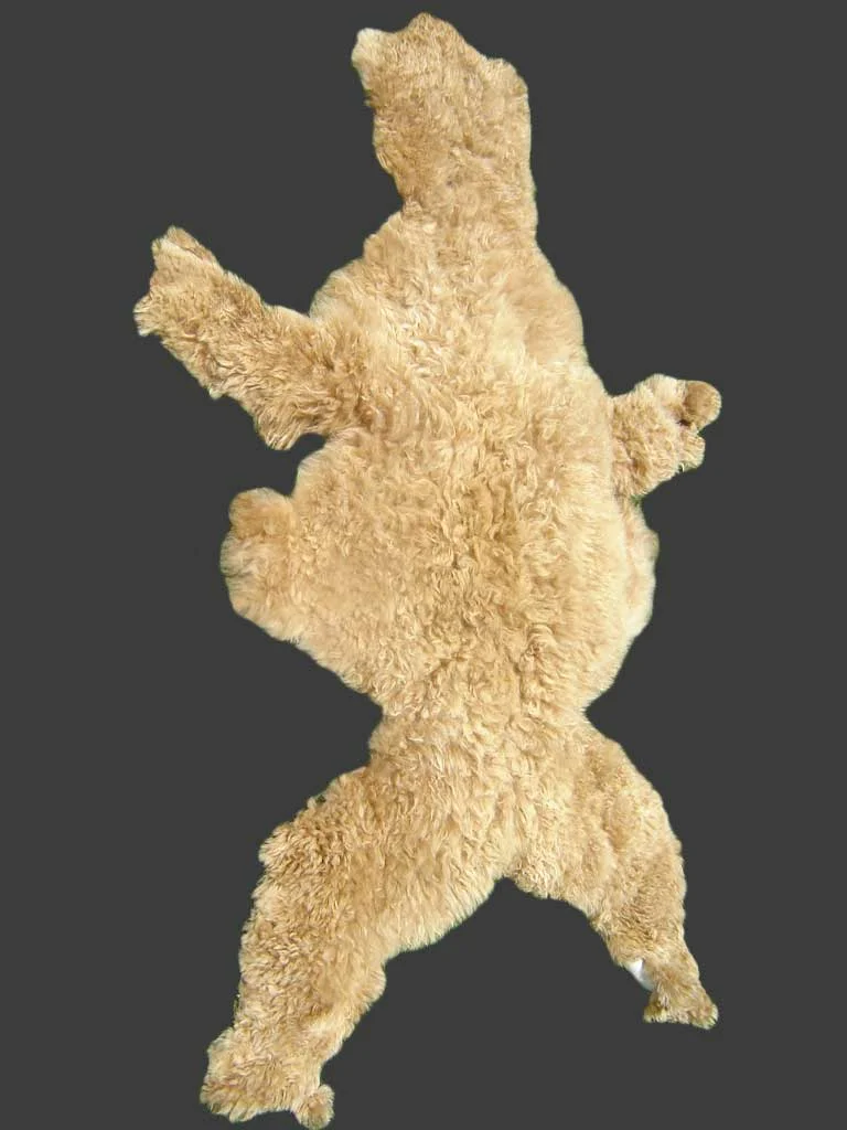 Dyed Young Alpaca Tanned Hide D12